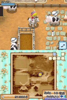 Harvest Moon DS – Grand Bazaar
