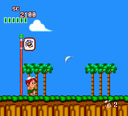New Adventure Island