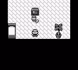 Pokémon Red Blue