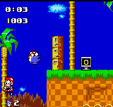Sonic Pocket Adventure
