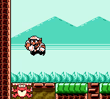 Wario Land 3